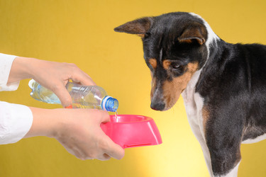 Similar image 22141758