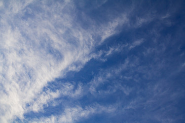 Similar image 22141983