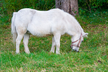 Similar image 22141991