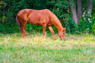 Similar image 22141995