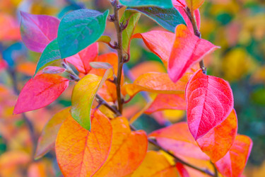 Similar image 22142011