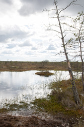 Similar image 22157815