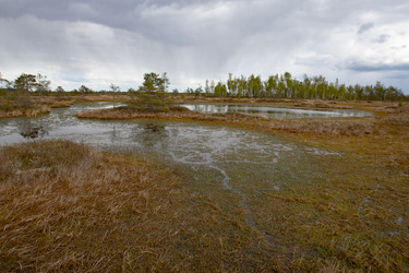 Similar image 22157816