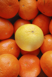 Similar image 22148824