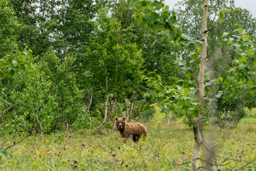 Similar image 22147874