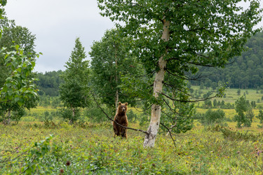 Similar image 22147876