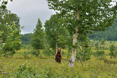 Similar image 22147877