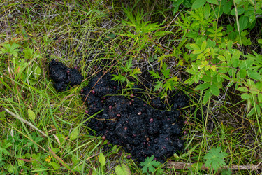 Similar image 22148110