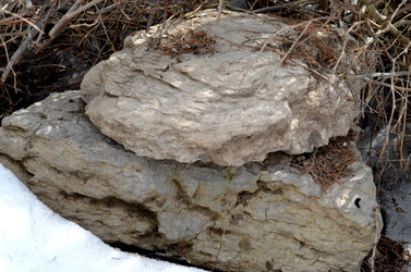 Similar image 22142383