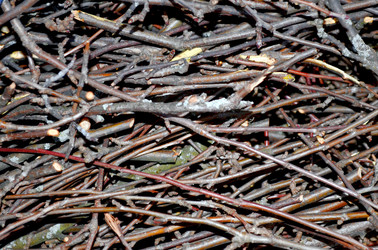 Similar image 22142385