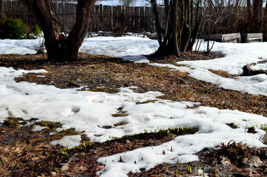 Similar image 22142388