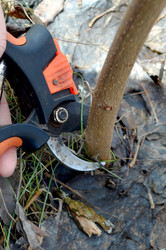 Similar image 22142389