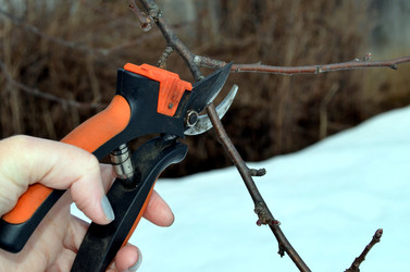 Similar image 22142390