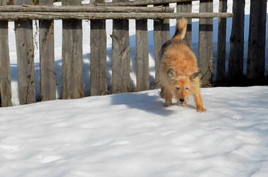 Similar image 22142394