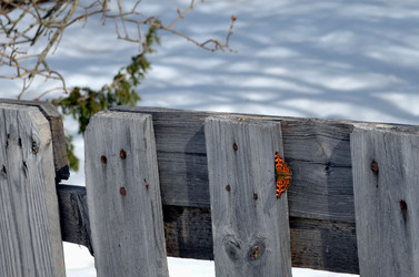 Similar image 22142395