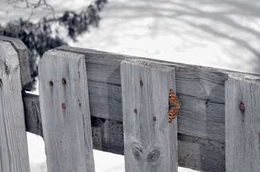 Similar image 22142397