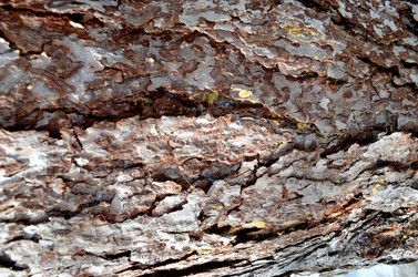 Similar image 22142404