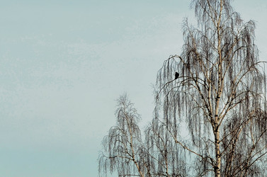 Similar image 22142405