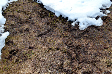 Similar image 22142411