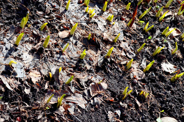 Similar image 22142413