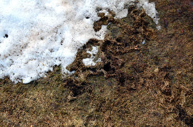 Similar image 22142414