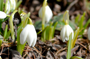 Similar image 22142416