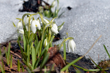 Similar image 22142417