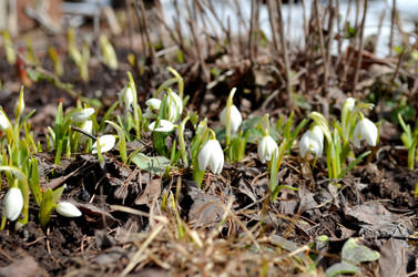 Similar image 22142418