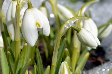 Similar image 22142419