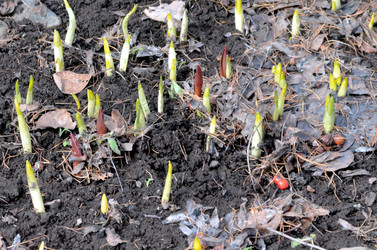 Similar image 22142421