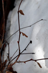 Similar image 22142422