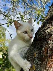 Similar image 22141342