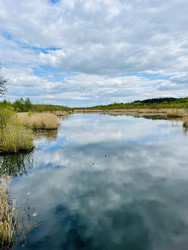 Similar image 22141343