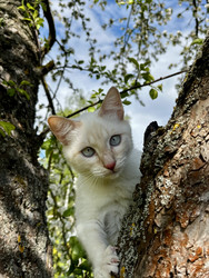 Similar image 22141344