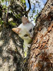 Similar image 22141345