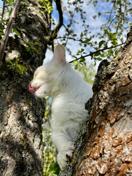 Similar image 22141346