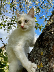 Similar image 22141347