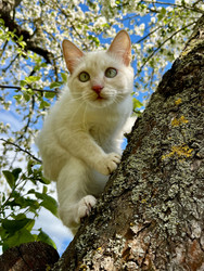 Similar image 22141348