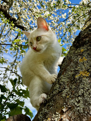 Similar image 22141349