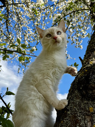 Similar image 22141351