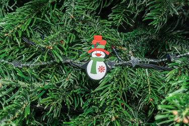 Similar image 22142259