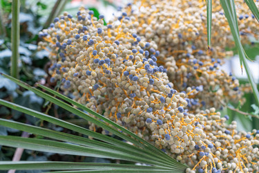 Similar image 22142261