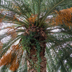 Similar image 22142262