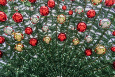 Similar image 22142263