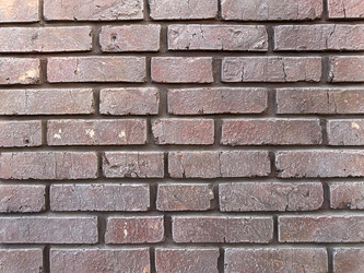 Similar image 22142271