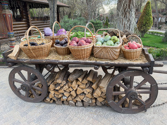 Similar image 22142276