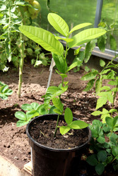 Similar image 22158069