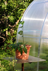 Similar image 22158073