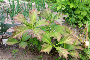 Similar image 22161301