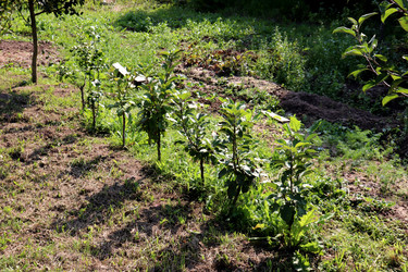 Similar image 22161302